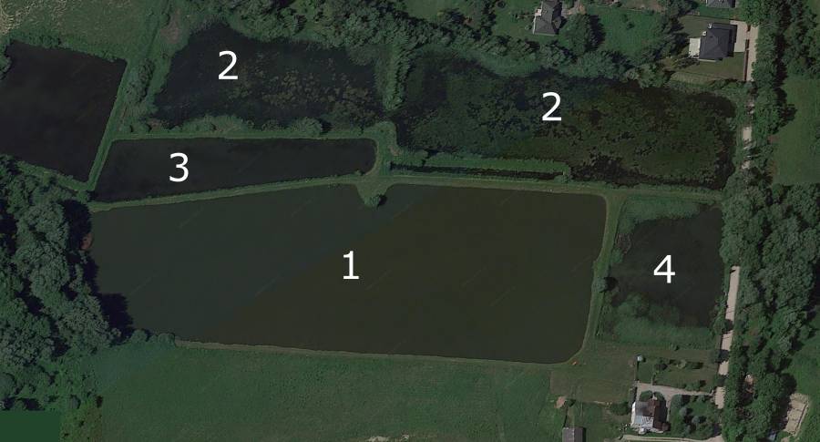 łowisko komercyjne szczęsne lista stawów